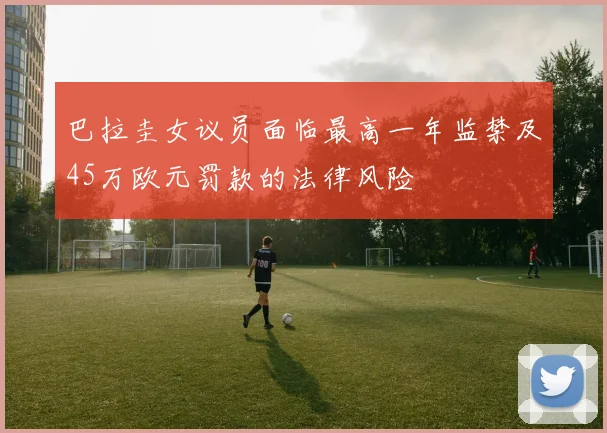 巴拉圭女议员面临最高一年监禁及45万欧元罚款的法律风险