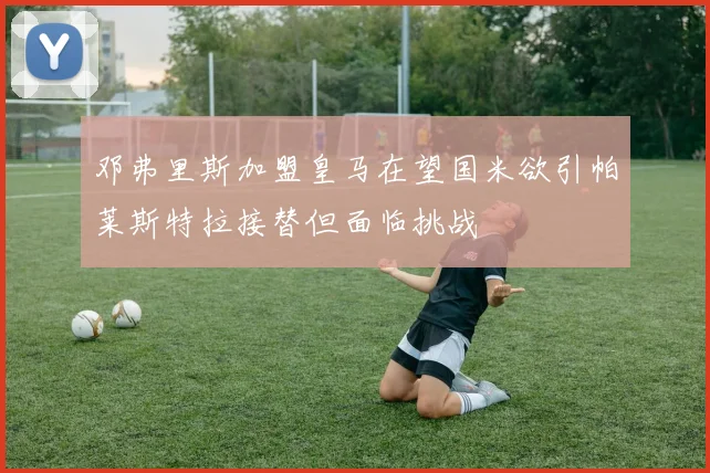 邓弗里斯加盟皇马在望国米欲引帕莱斯特拉接替但面临挑战